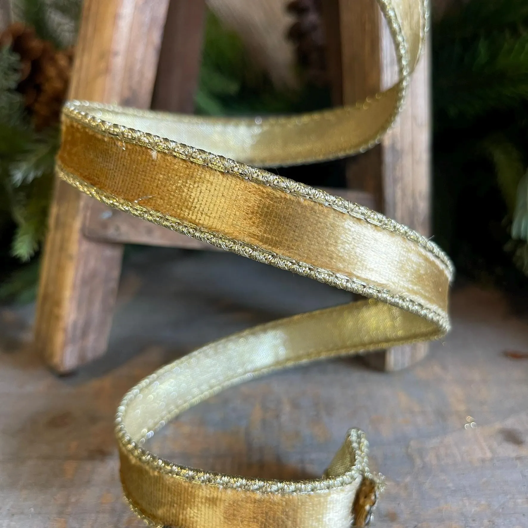 3/4" Gold velvet Ribbon, Farrisilk ribbon