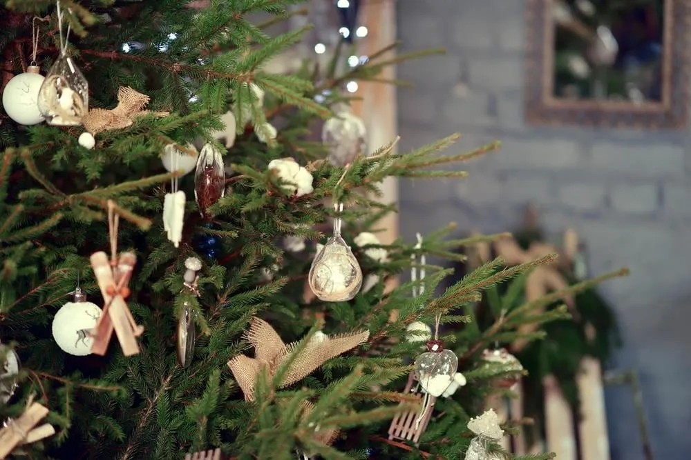5ft Norway Spruce Christmas Tree