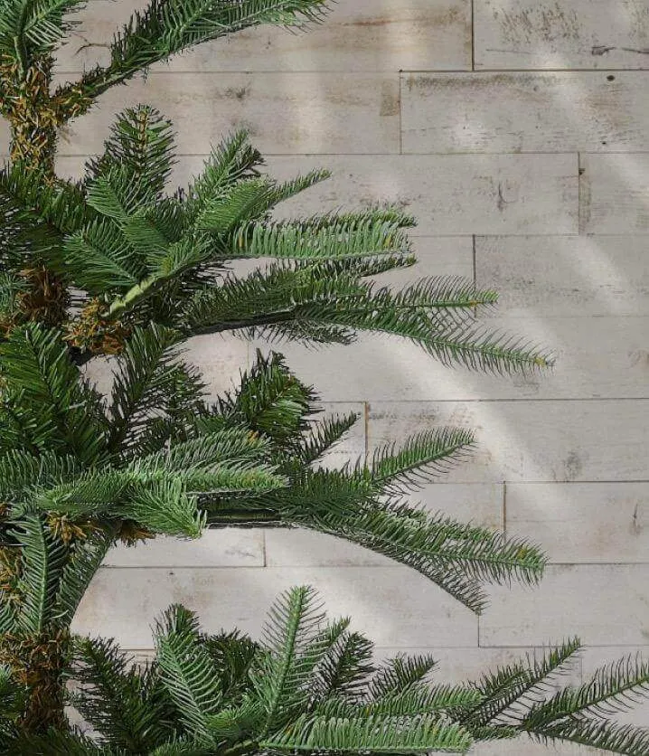 8' King Noble Fir Tree Unlit - OPEN BOX - FINAL SALE