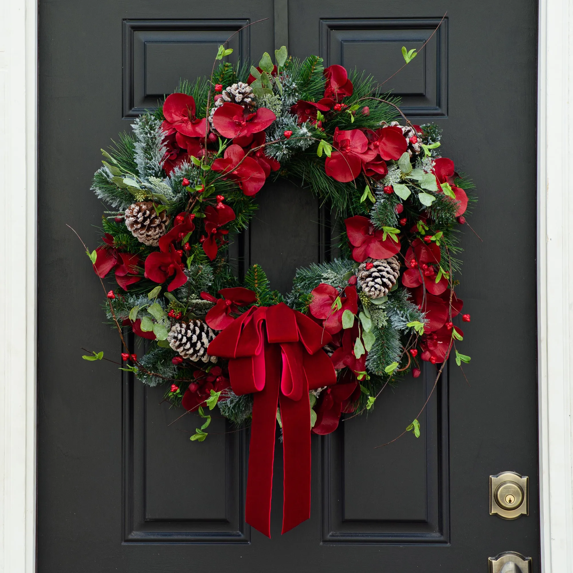 Burgundy Red Orchid & Snowy Mixed Pine & Berry Branch Draped Velvet Bow Holiday Christmas Wreath