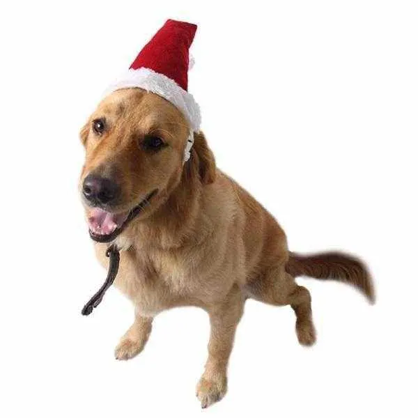 Deluxe Santa Hat