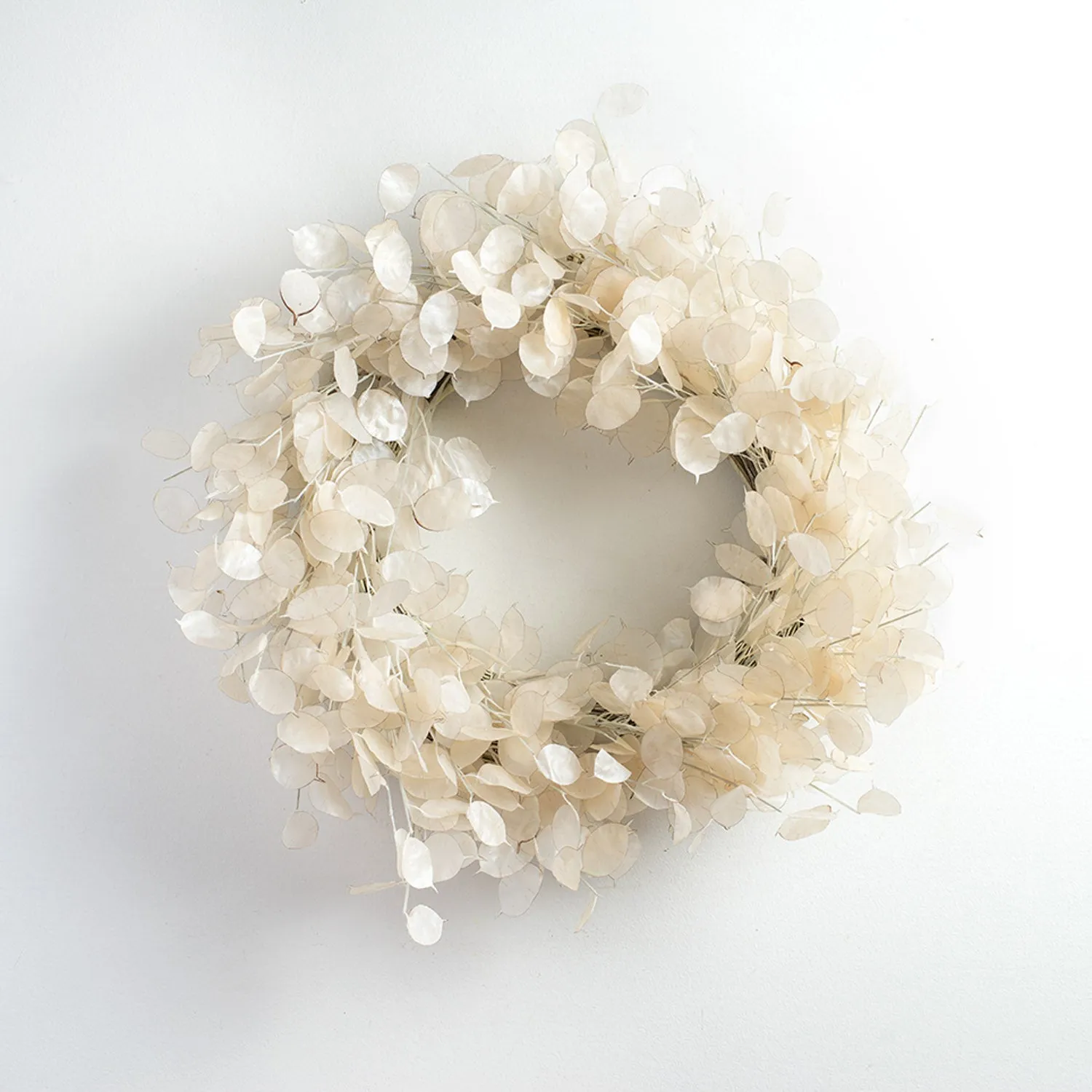 Dried Look Translucent Bleached Lunaria All Seasons Fall Wreath