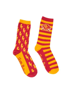 Harry Potter Gryffindor socks