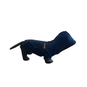 Kanu Pet Blue Dog Sweater