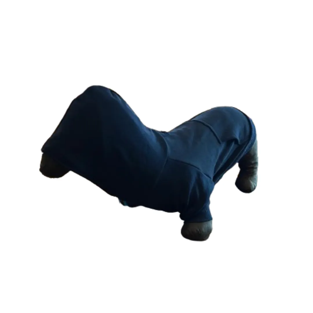 Kanu Pet Blue Dog Sweater