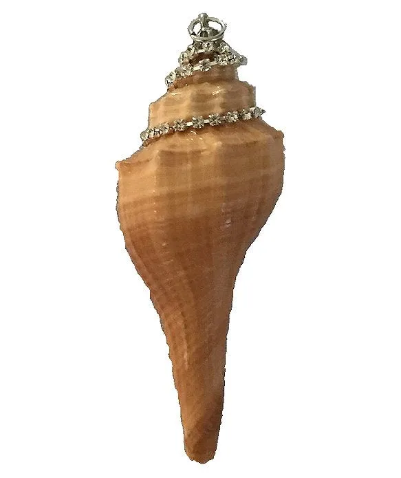 Poseidon's Jewels Swarovski Crystals Seashell Ornament Set