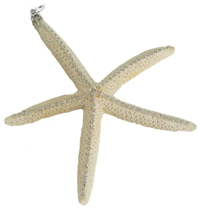 Poseidon's Jewels Swarovski Crystals Seashell Ornament Set