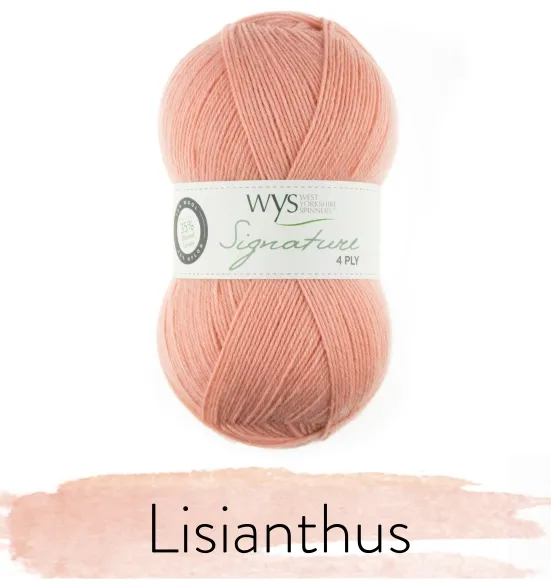 West Yorkshire Spinners Signature 4-Ply